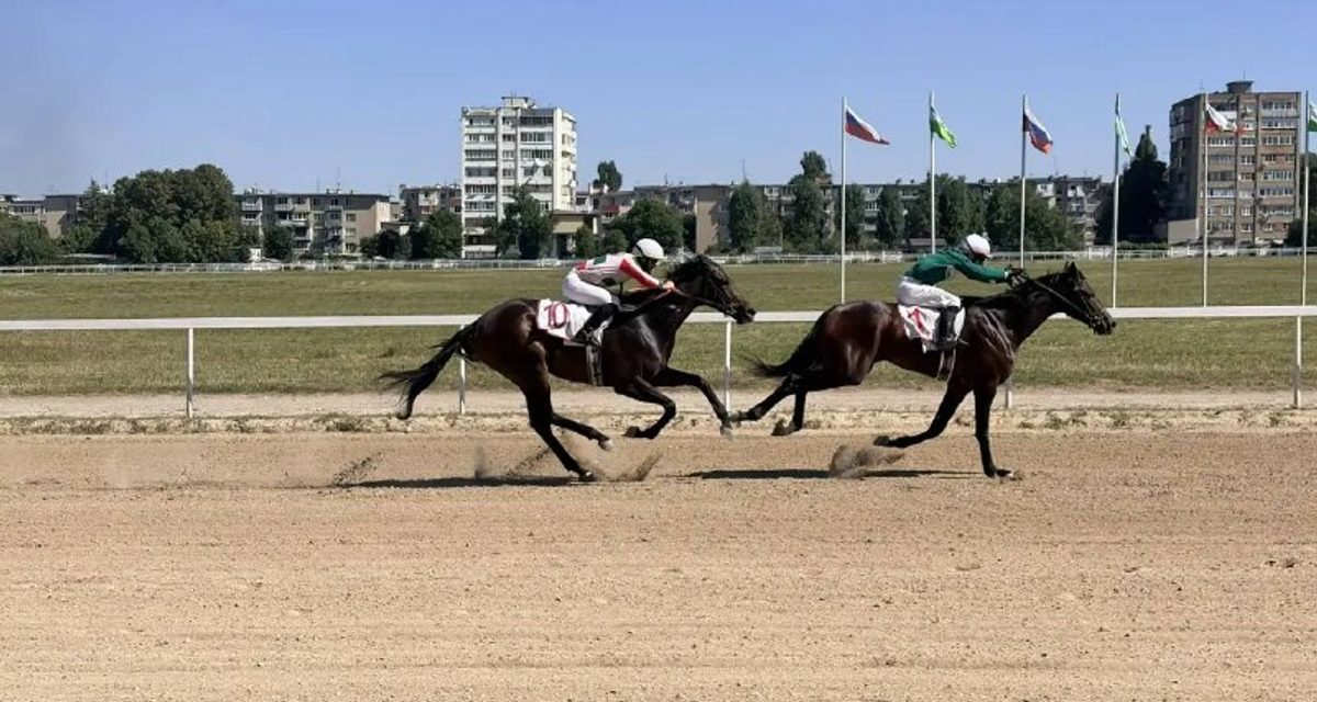 На Нальчикском ипподроме провели 11 заездов «Кубка Эльбруса»