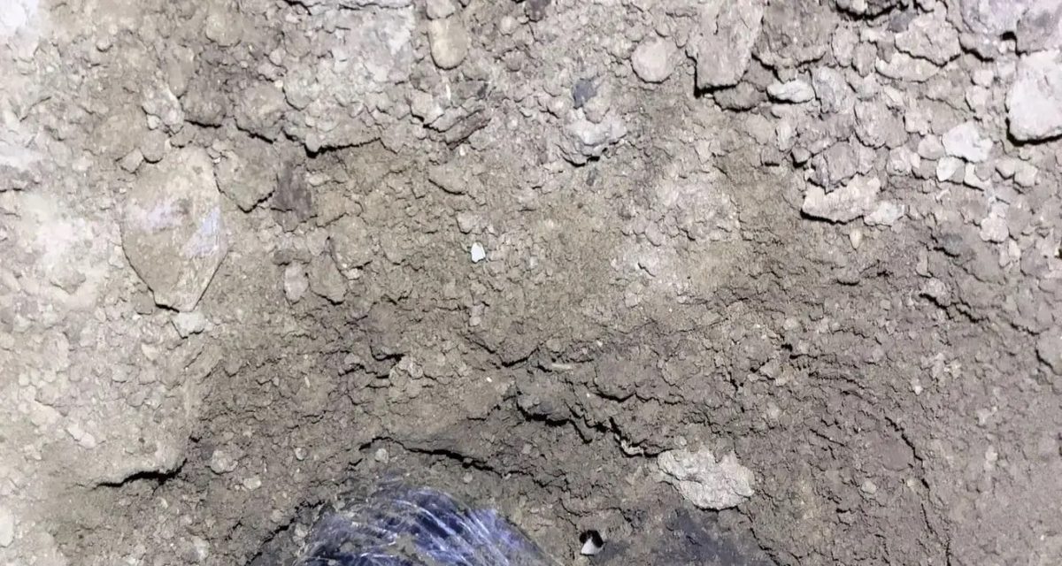Женщина и 17-летний подросток приехали в Нальчик заложить наркотайник — их задержали с 24 свёртками